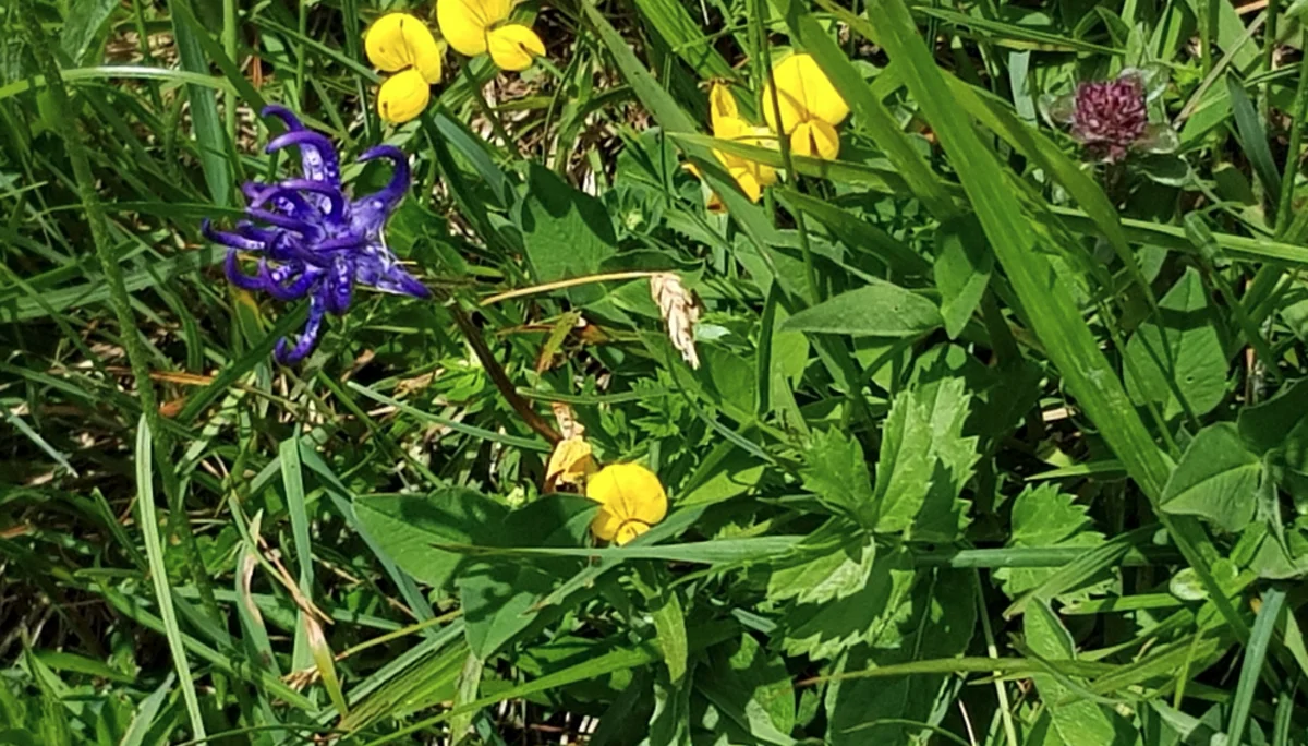 © DAV Rottal Neumarkt-St. Veit