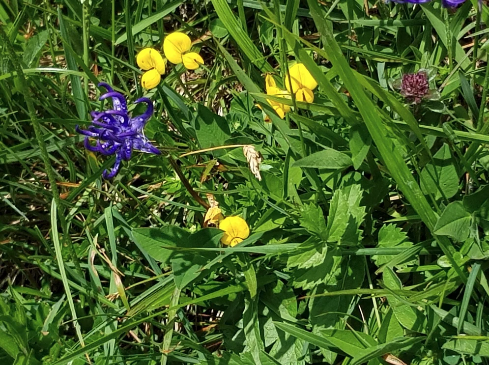 © DAV Rottal Neumarkt-St. Veit