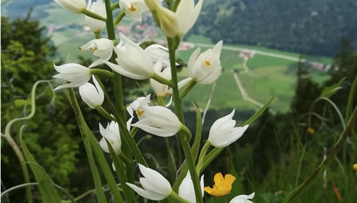 © DAV Rottal Neumarkt-St. Veit