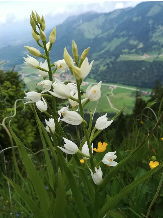 © DAV Rottal Neumarkt-St. Veit
