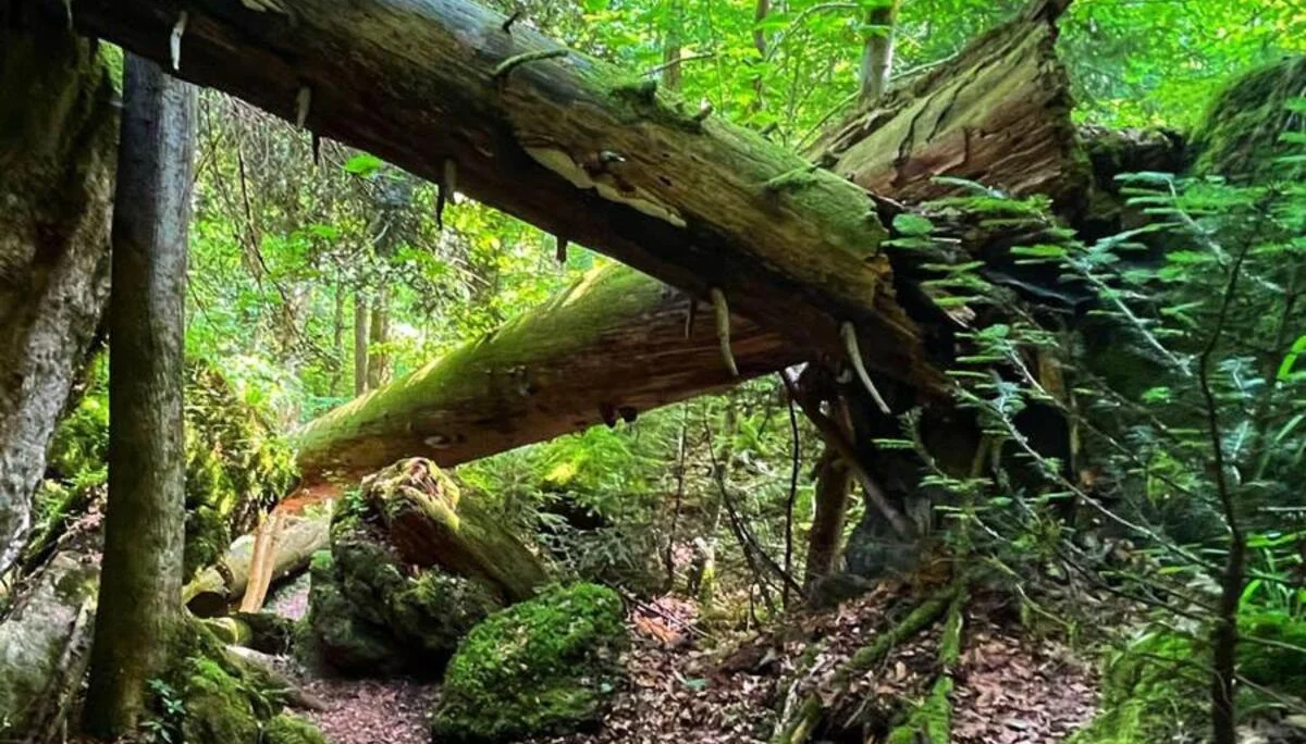 © DAV Rottal Neumarkt-St. Veit