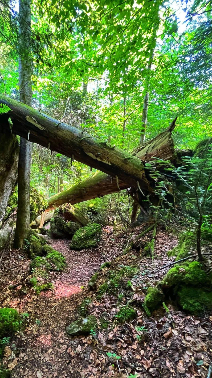 © DAV Rottal Neumarkt-St. Veit