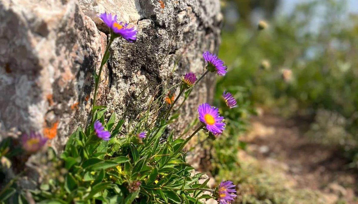 © DAV Rottal Neumarkt-St. Veit