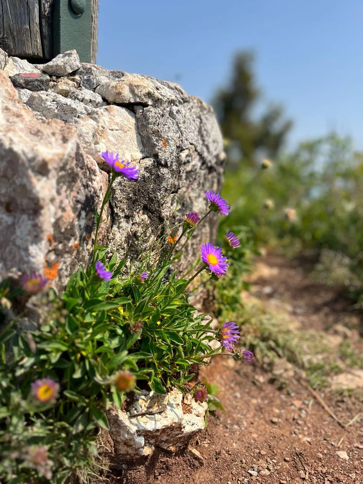© DAV Rottal Neumarkt-St. Veit