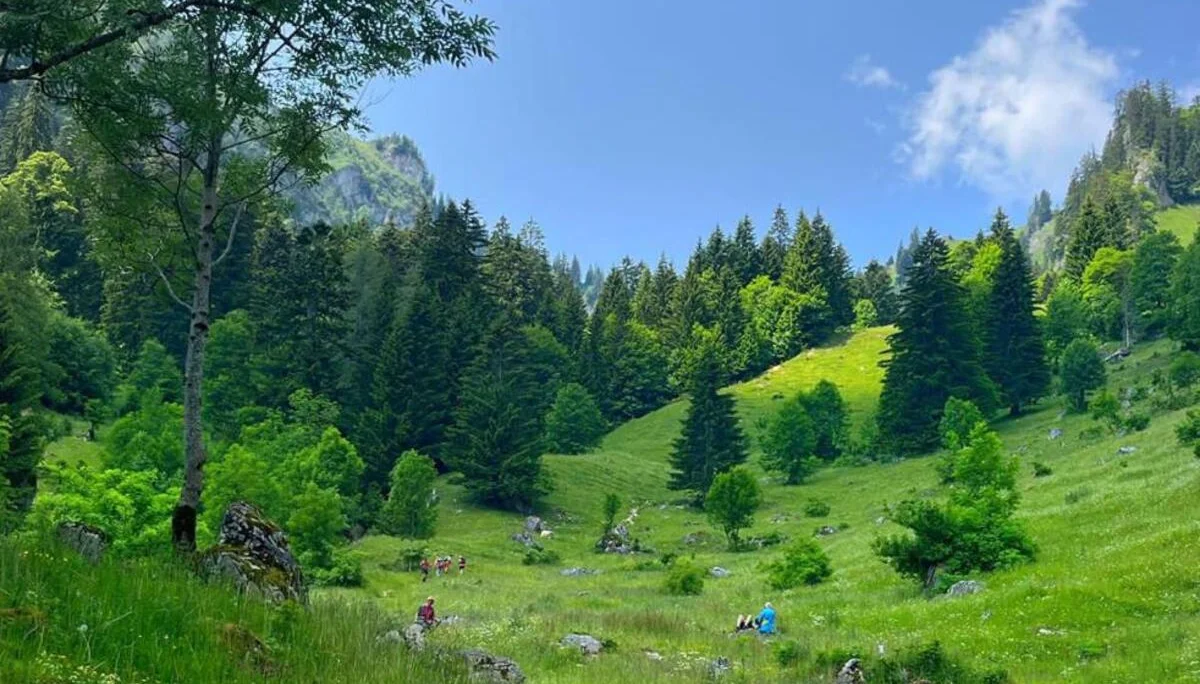 © DAV Rottal Neumarkt-St. Veit