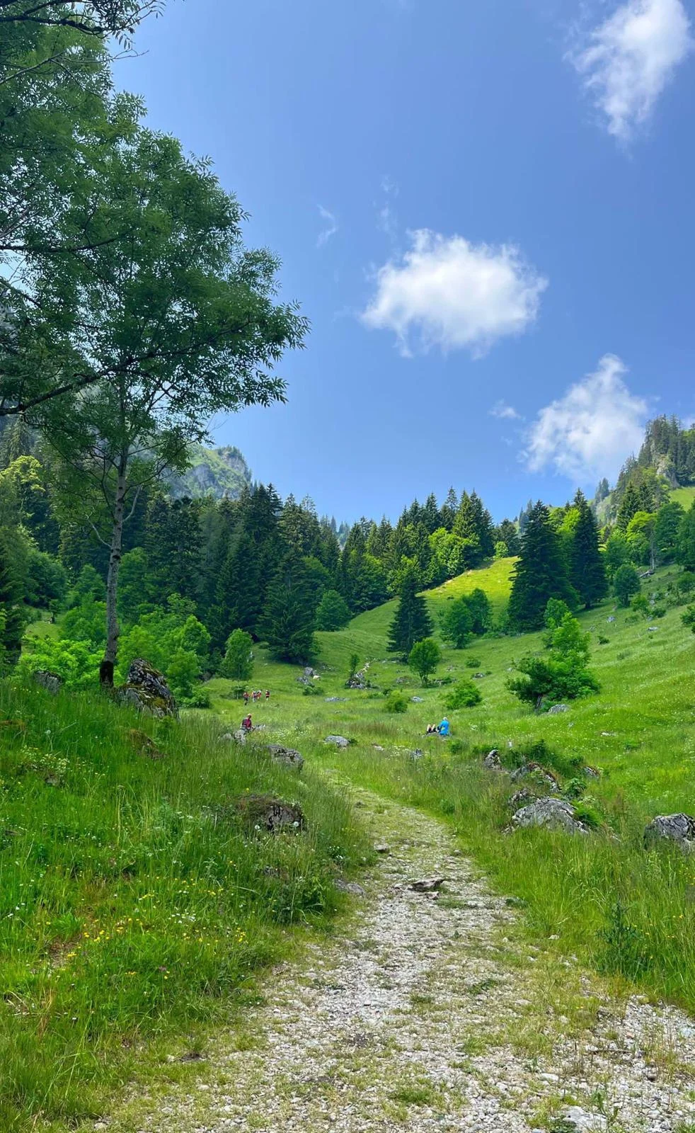 © DAV Rottal Neumarkt-St. Veit