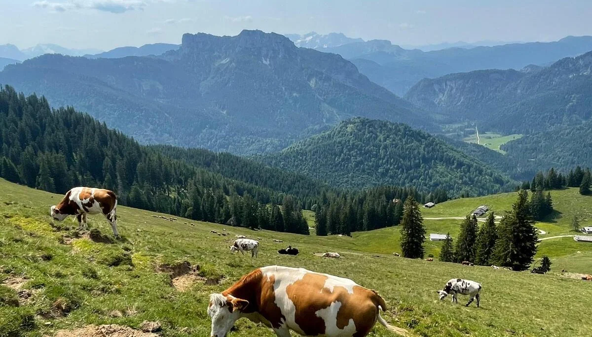 © DAV Rottal Neumarkt-St. Veit