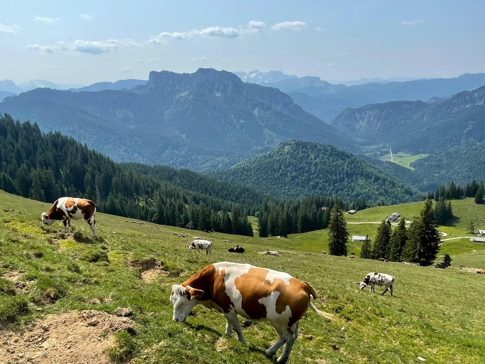© DAV Rottal Neumarkt-St. Veit