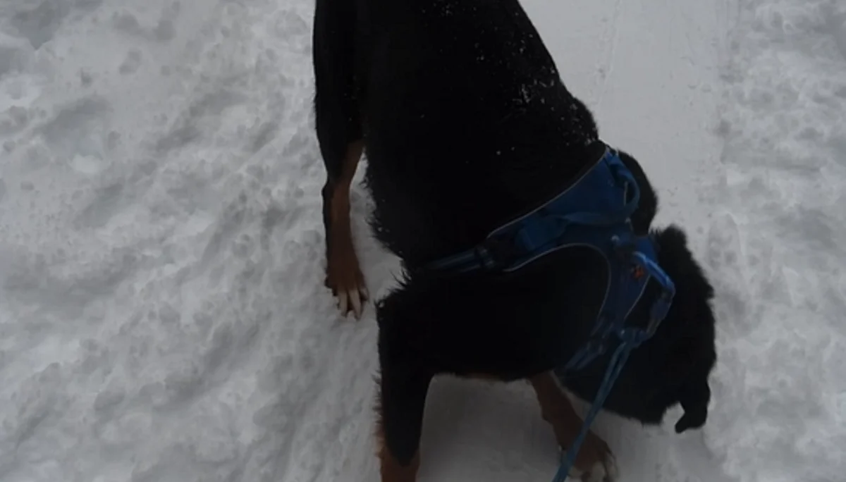 © DAV Rottal Neumarkt-St. Veit