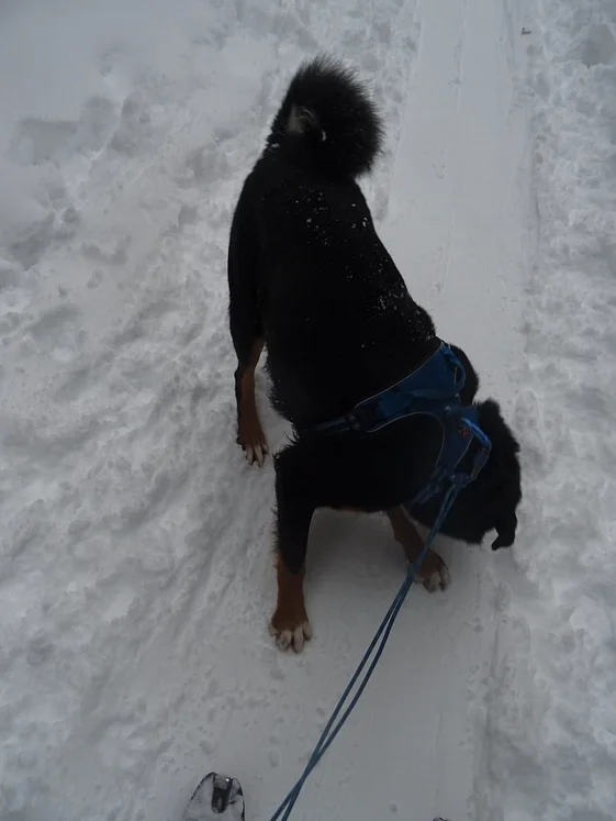 © DAV Rottal Neumarkt-St. Veit