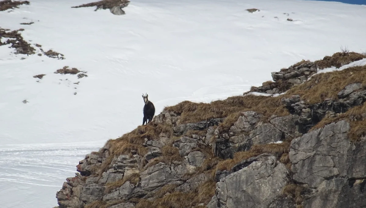 © DAV Rottal Neumarkt-St. Veit