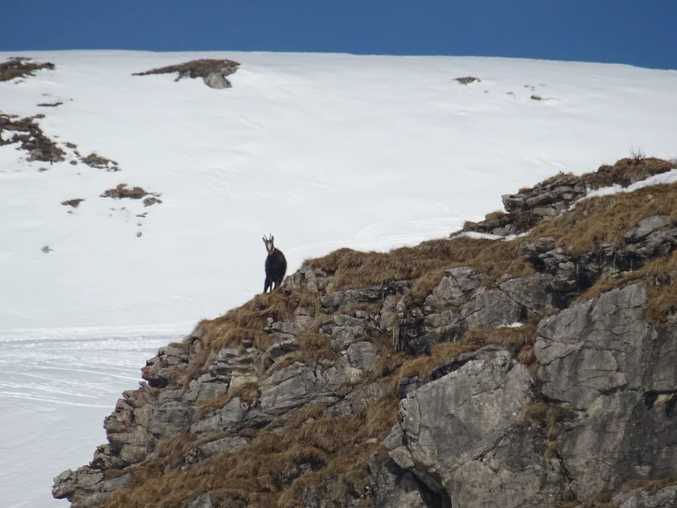 © DAV Rottal Neumarkt-St. Veit