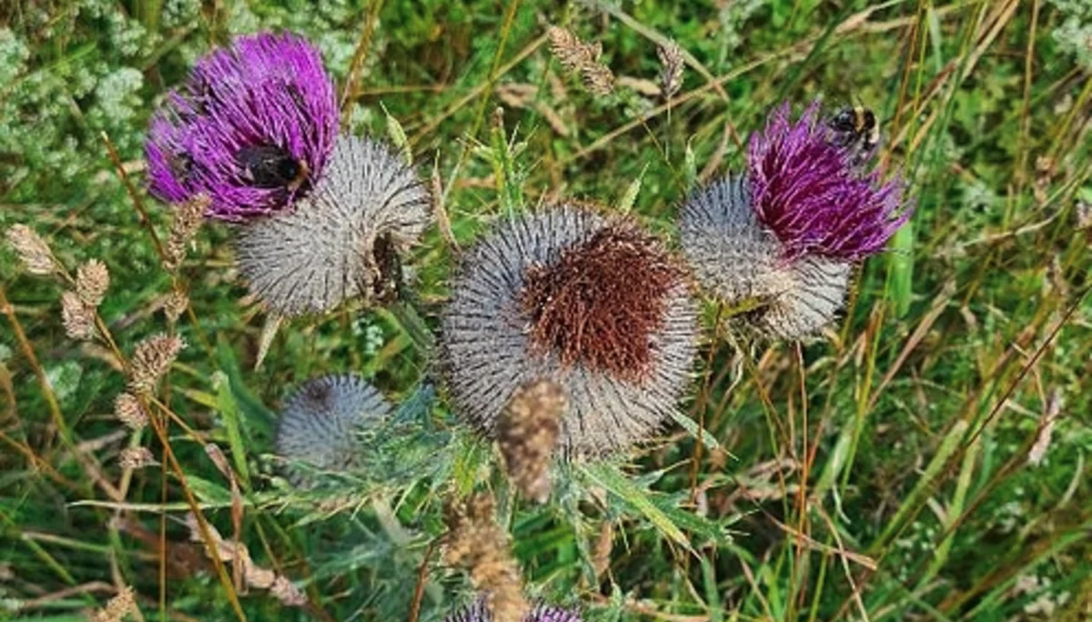 © DAV Rottal Neumarkt-St. Veit