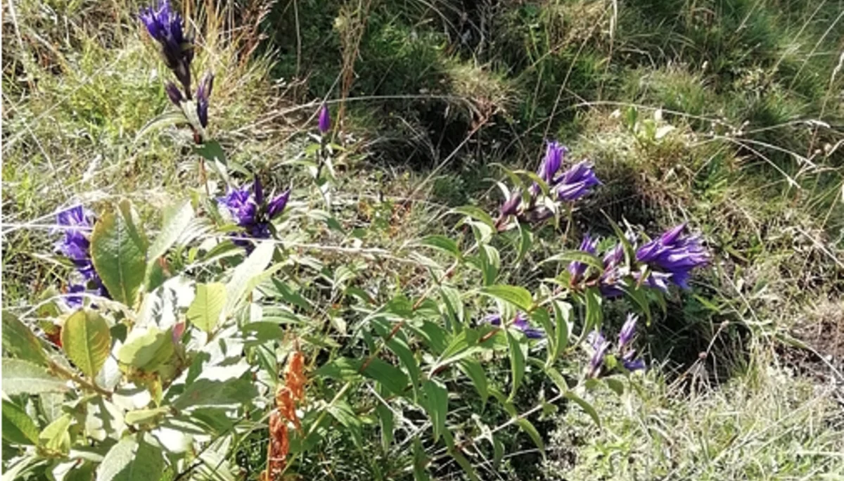 © DAV Rottal Neumarkt-St. Veit