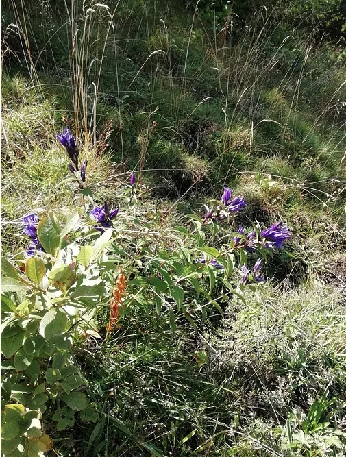 © DAV Rottal Neumarkt-St. Veit