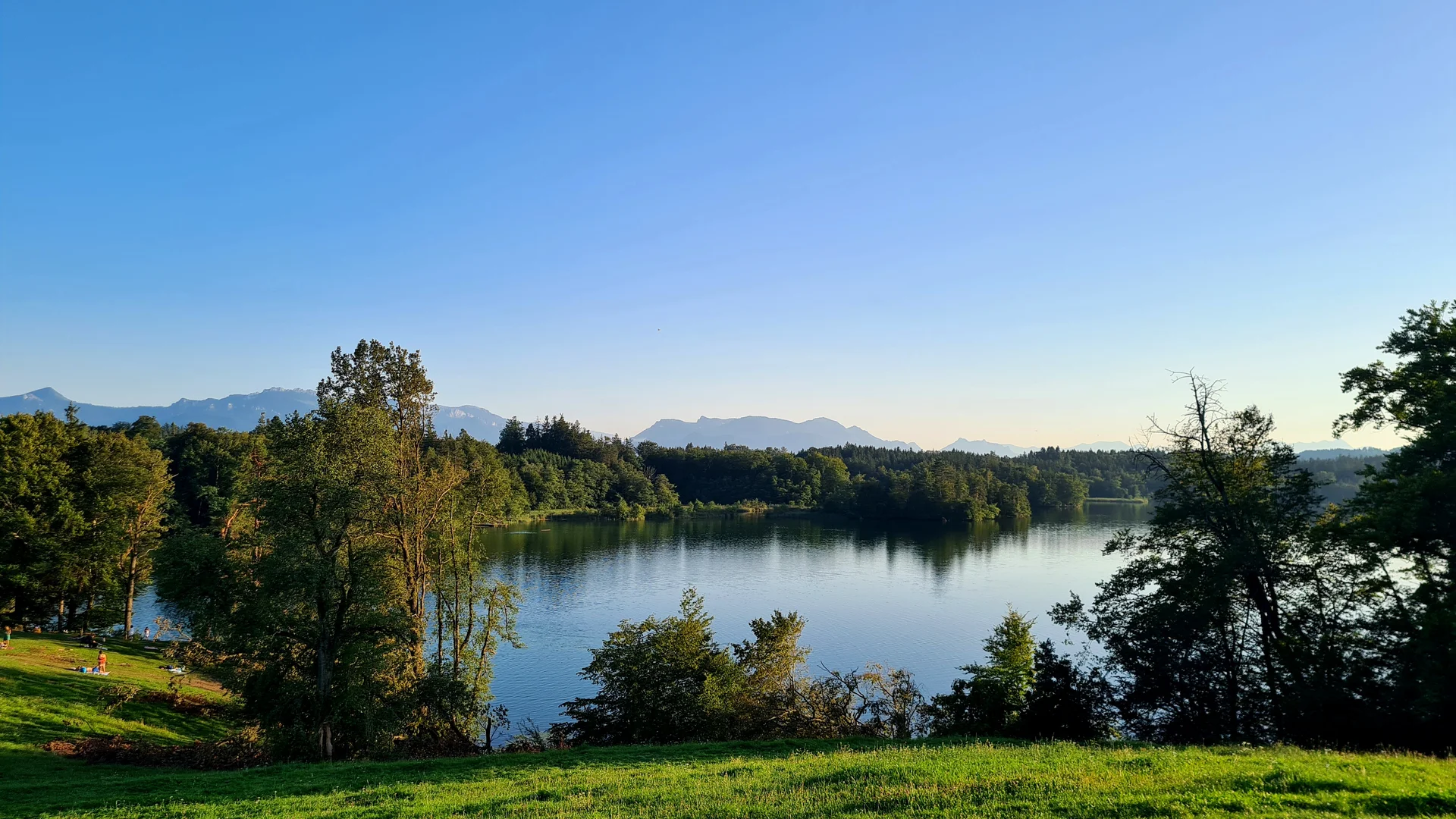 © Marianne Schuierer