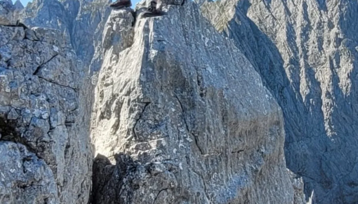 © Daniela Utzschmid