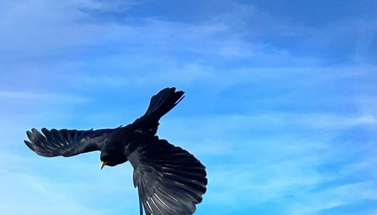 © DAV Rottal Neumarkt St. Veit