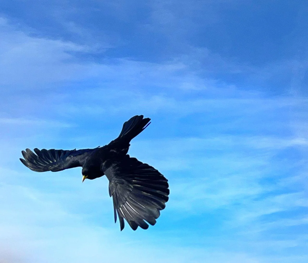 © DAV Rottal Neumarkt St. Veit