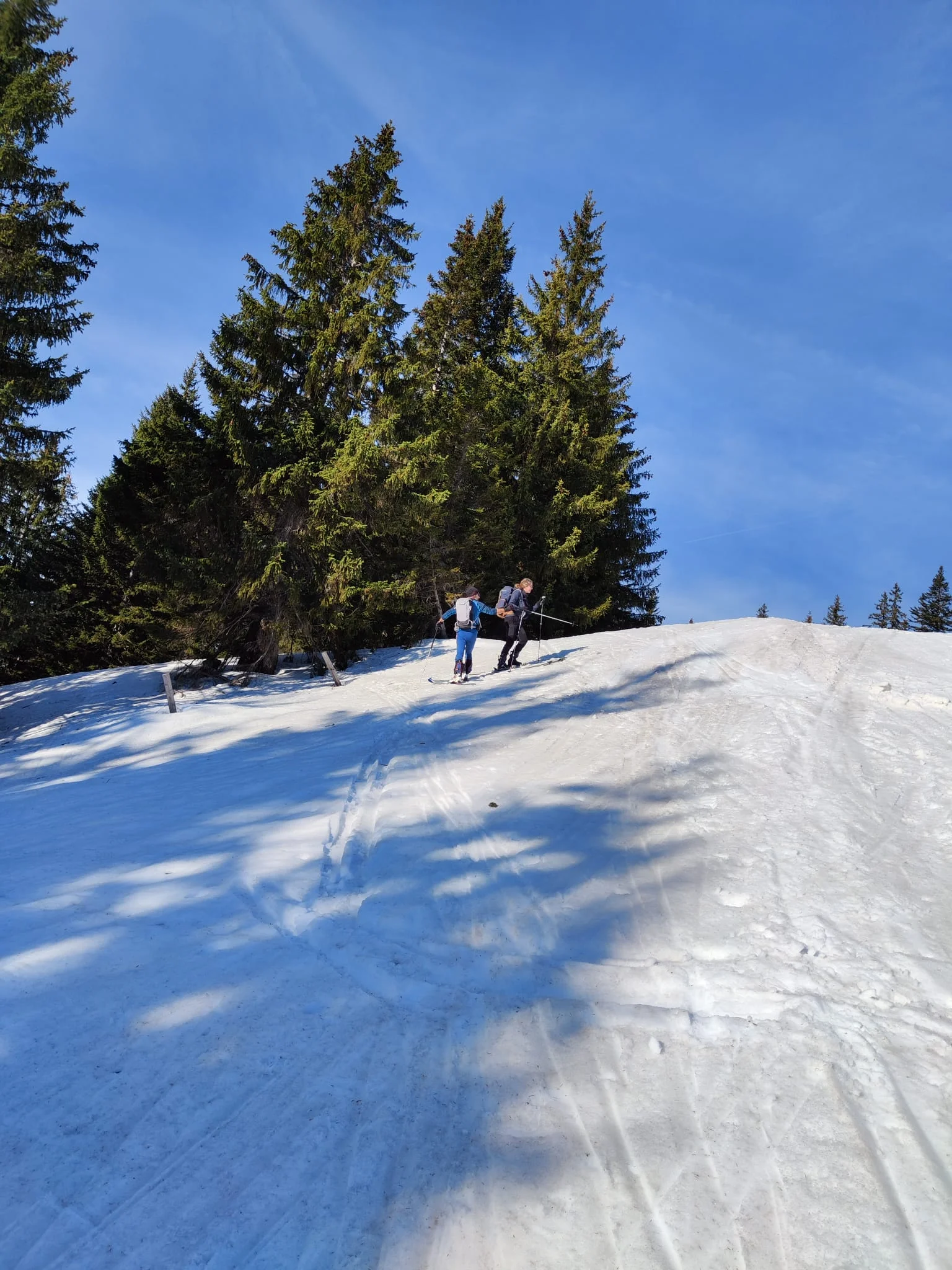 © Christoph Baumgartl