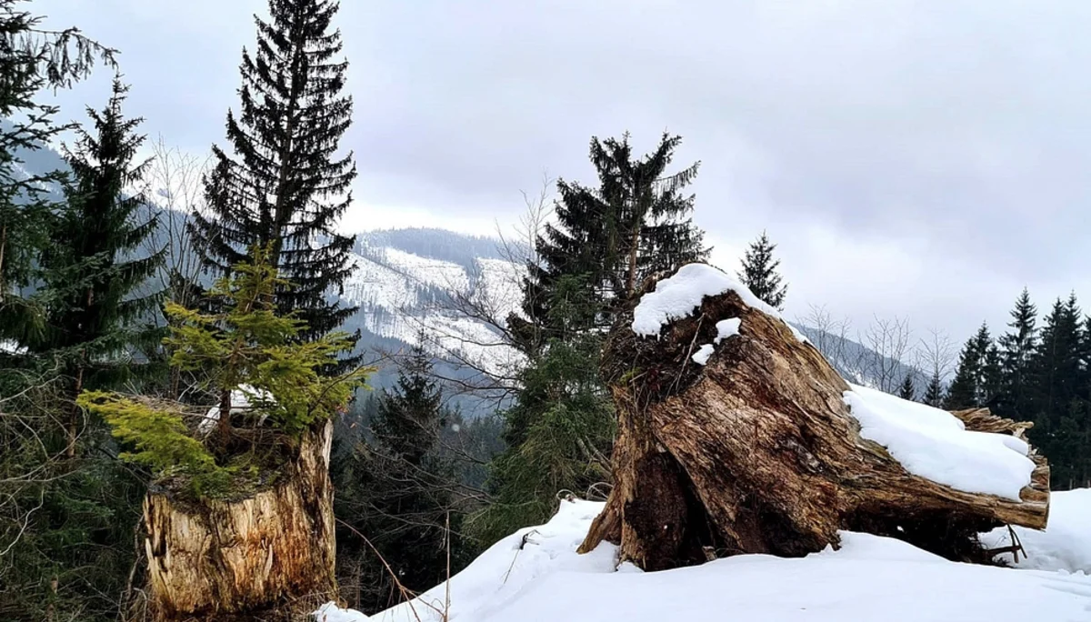 © DAV Rottal Neumarkt-St. Veit