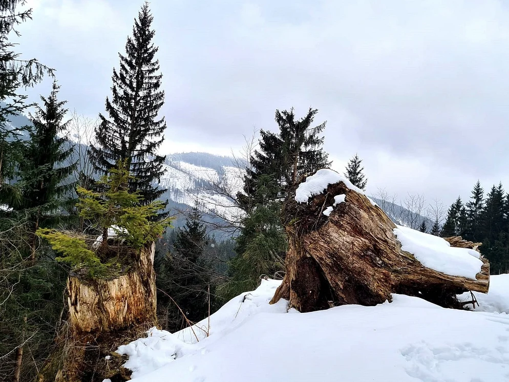 © DAV Rottal Neumarkt-St. Veit