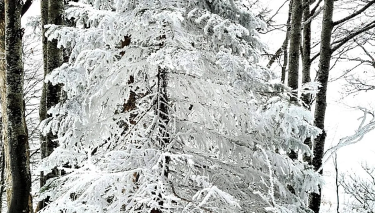 © DAV Rottal Neumarkt-St. Veit