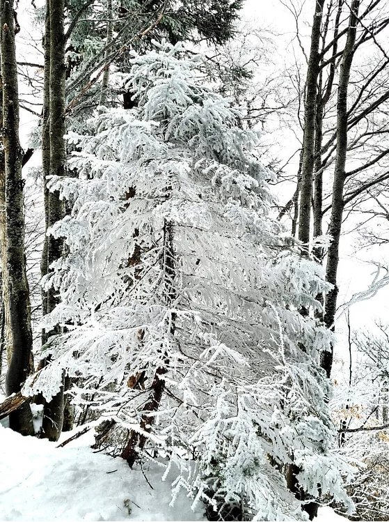 © DAV Rottal Neumarkt-St. Veit