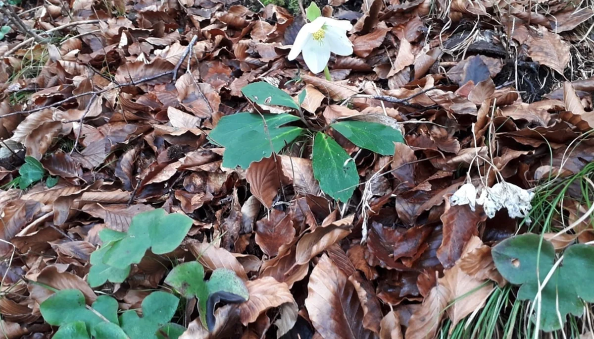 © DAV Rottal Neumarkt-St. Veit