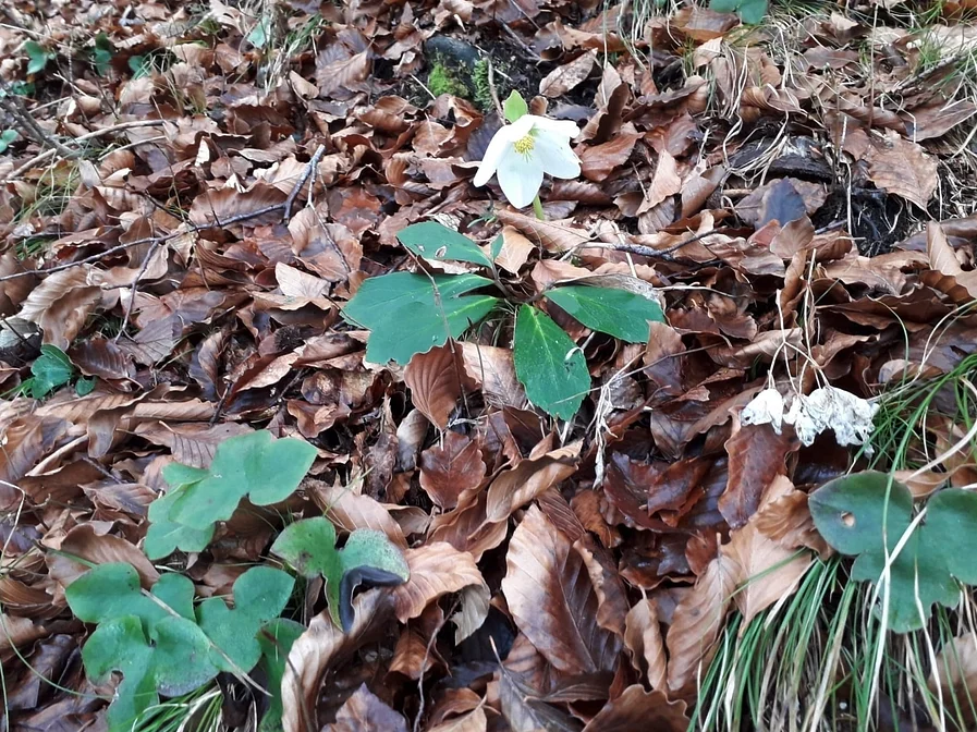 © DAV Rottal Neumarkt-St. Veit
