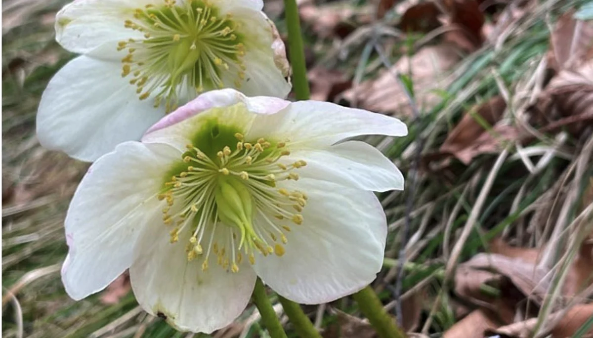 © DAV Rottal Neumarkt-St. Veit