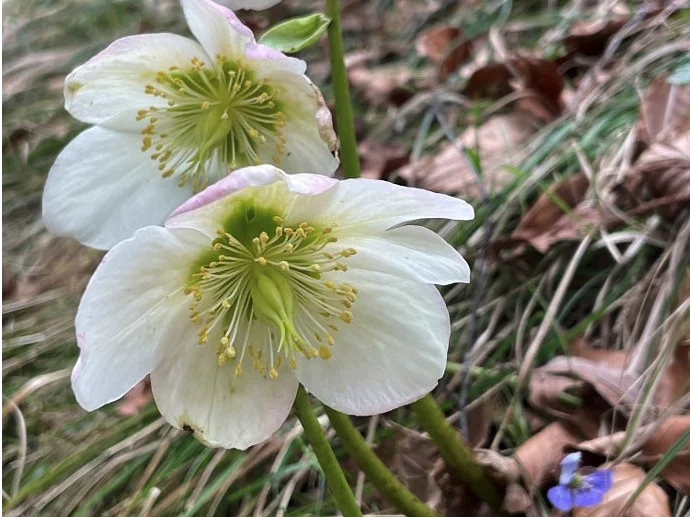 © DAV Rottal Neumarkt-St. Veit