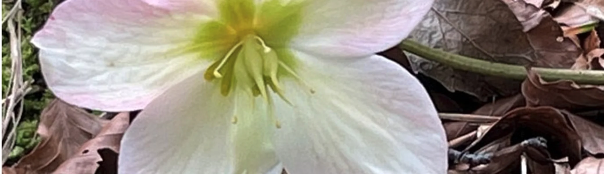 © DAV Rottal Neumarkt-St. Veit