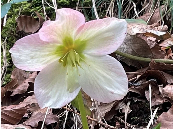 © DAV Rottal Neumarkt-St. Veit