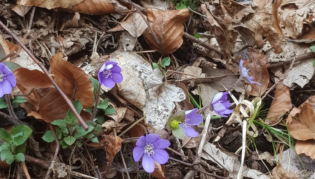 © DAV Rottal Neumarkt-St. Veit