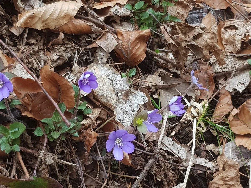 © DAV Rottal Neumarkt-St. Veit