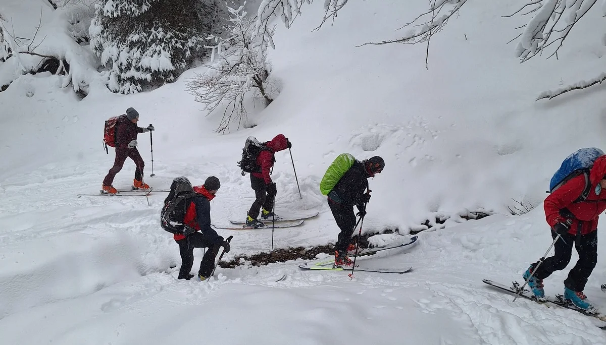 © Günter Honsowitz