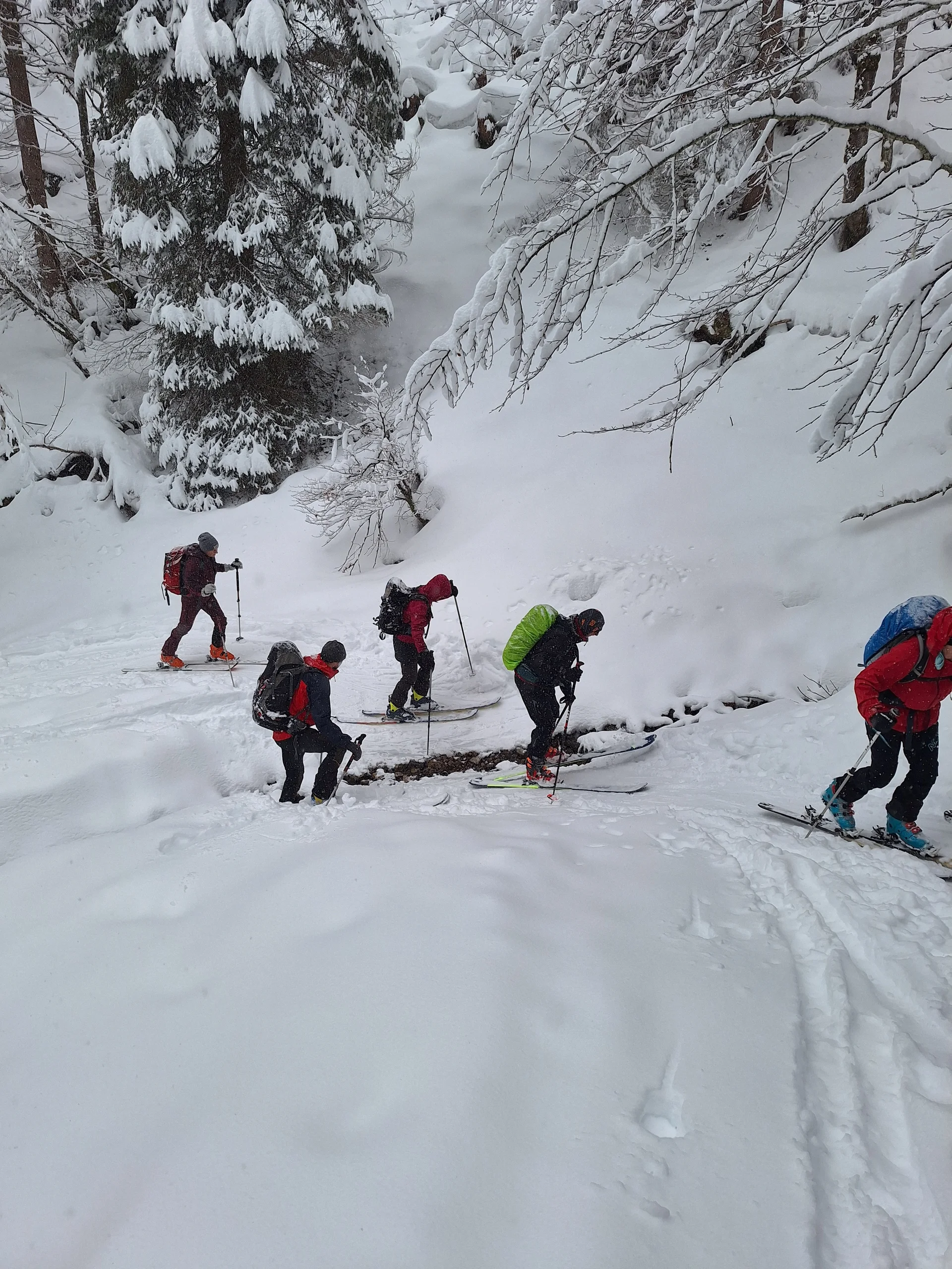 © Günter Honsowitz