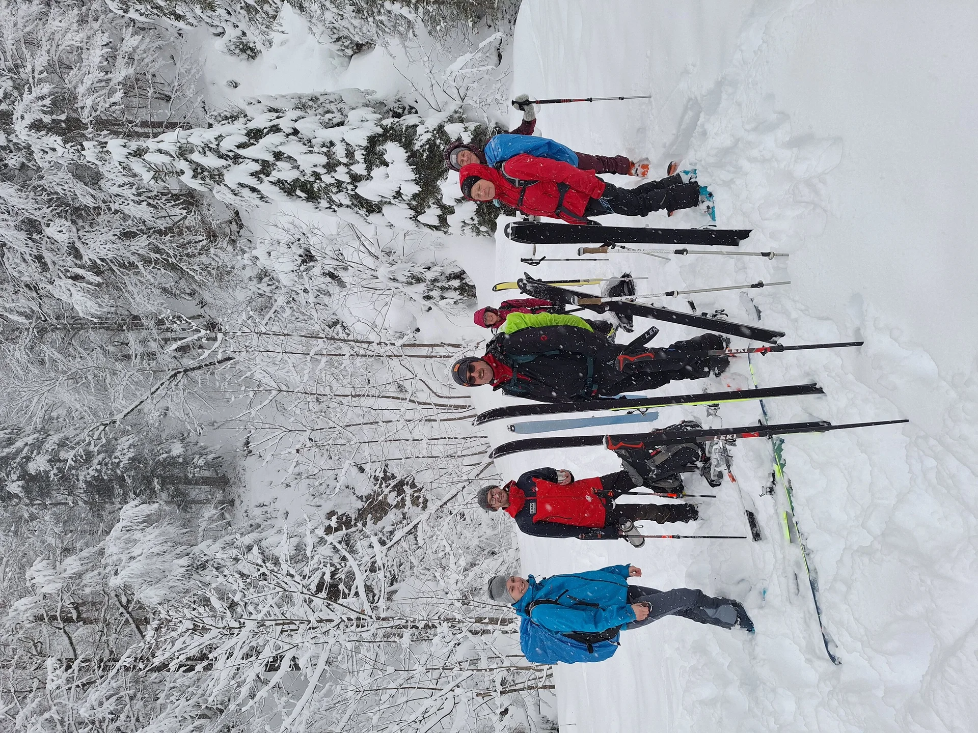 © Günter Honsowitz