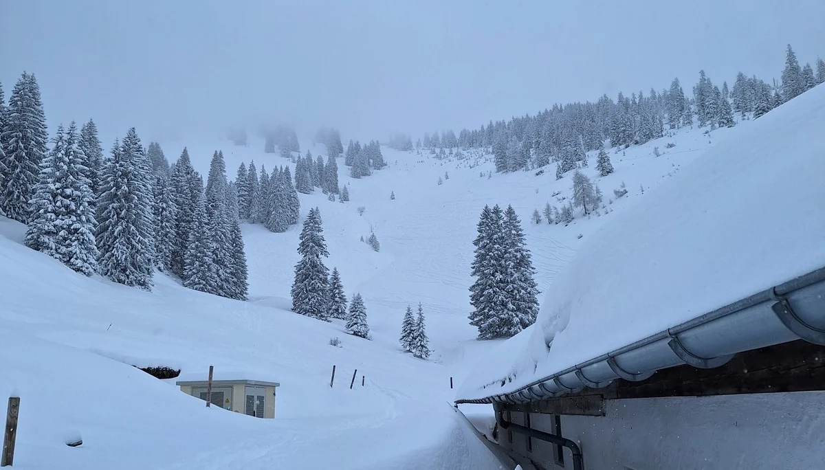 © Günter Honsowitz