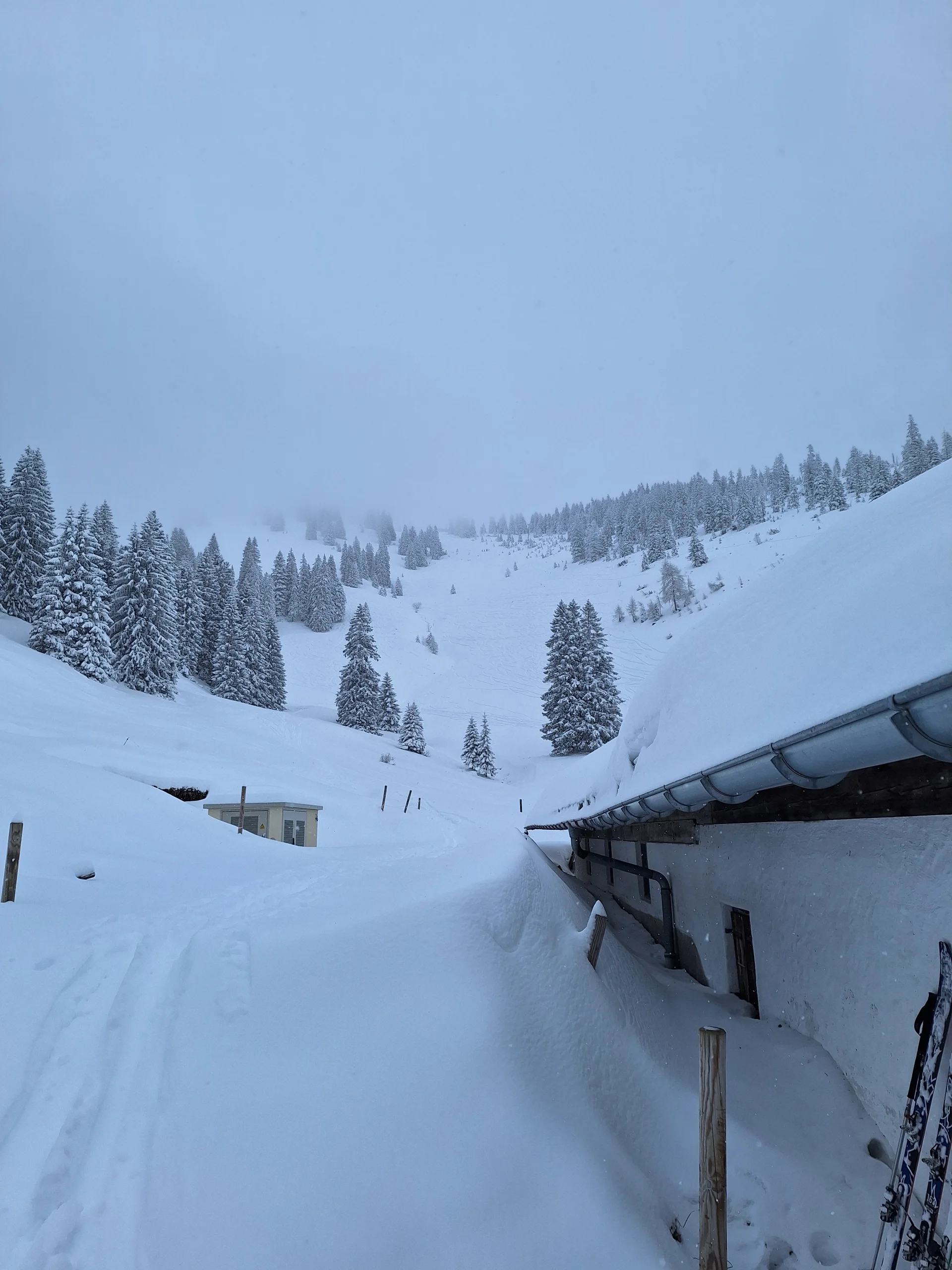 © Günter Honsowitz