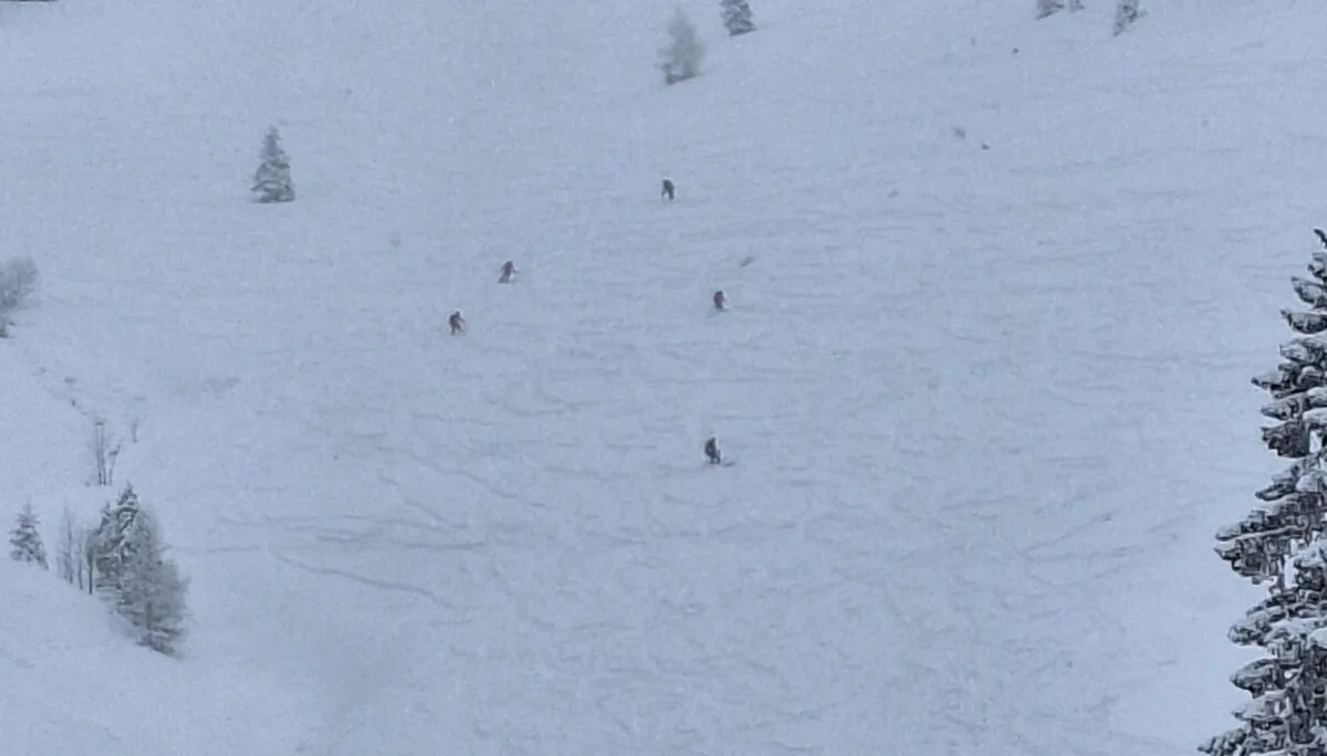 © Günter Honsowitz