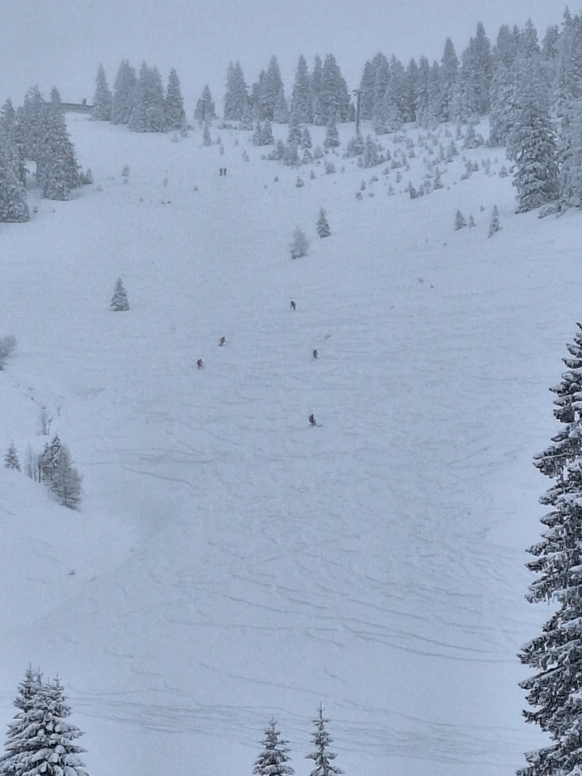 © Günter Honsowitz