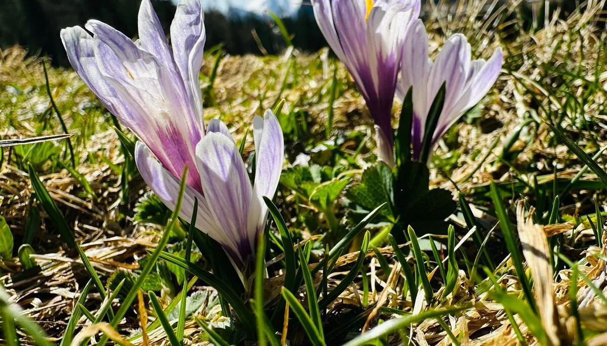 © DAV Rottal Neumarkt-St Veit