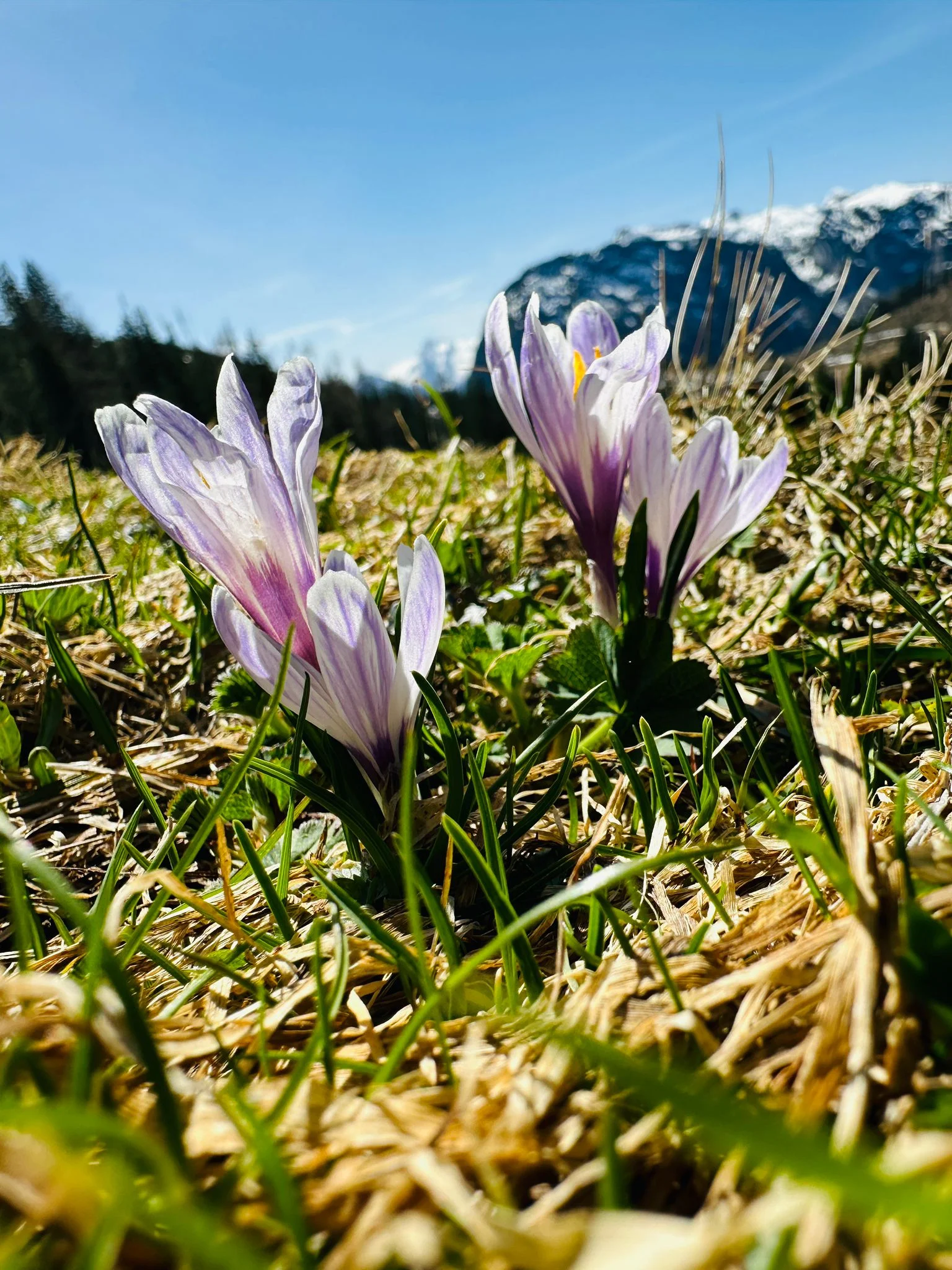© DAV Rottal Neumarkt-St Veit