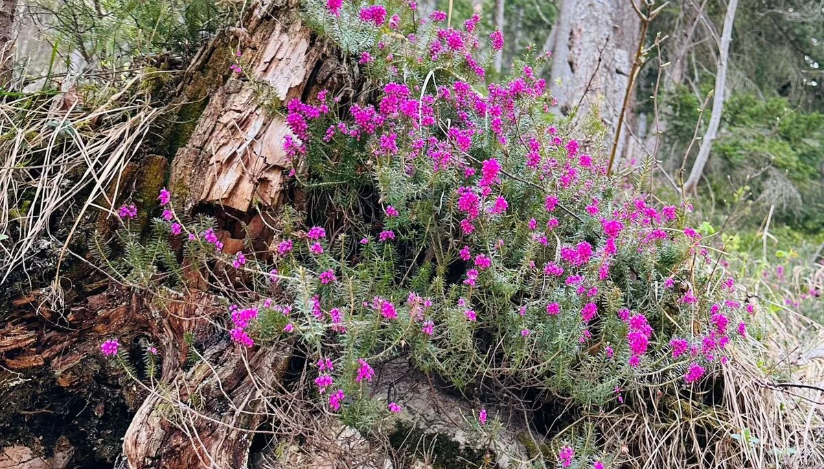 © DAV Rottal Neumarkt-St Veit