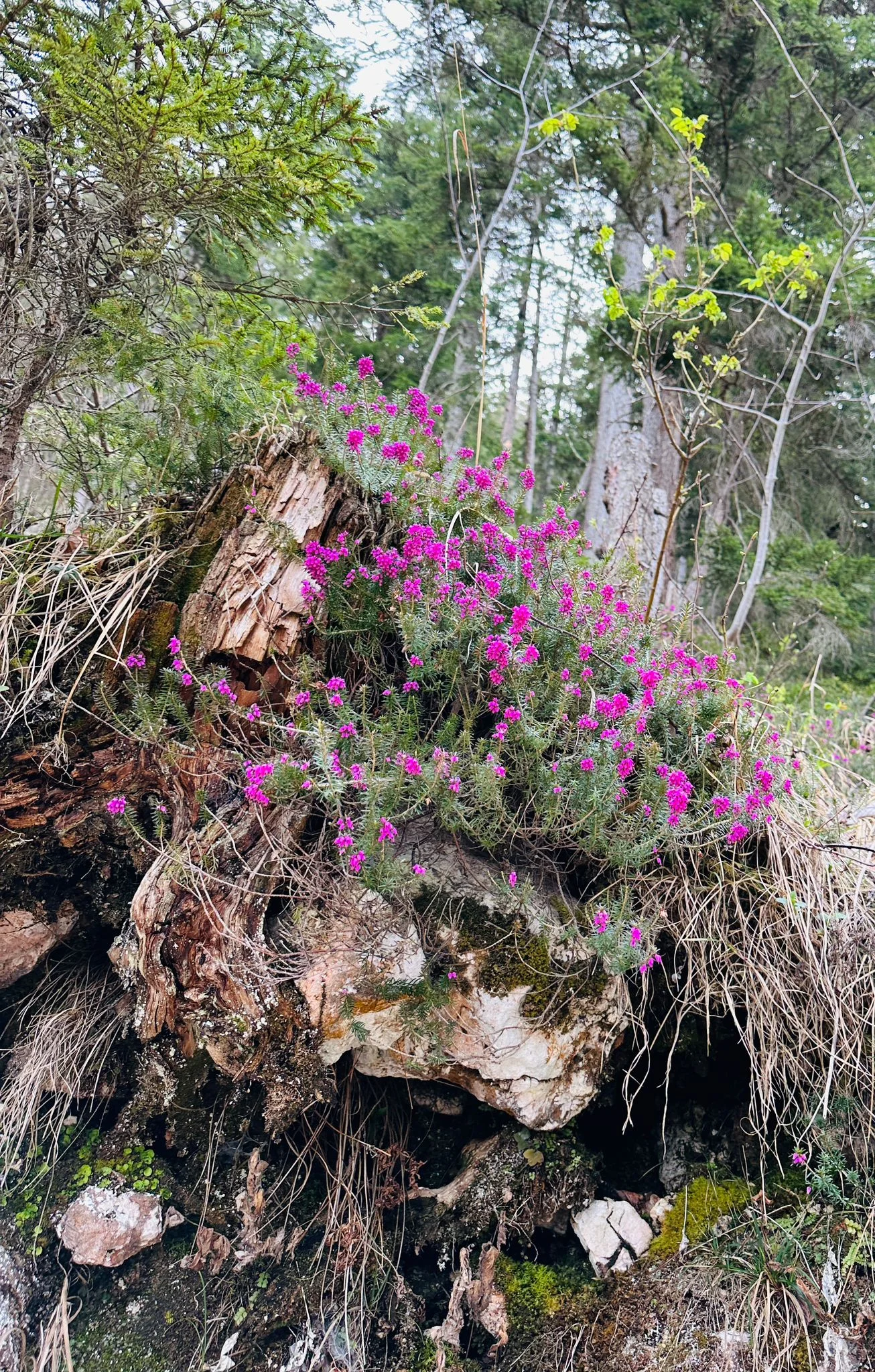 © DAV Rottal Neumarkt-St Veit