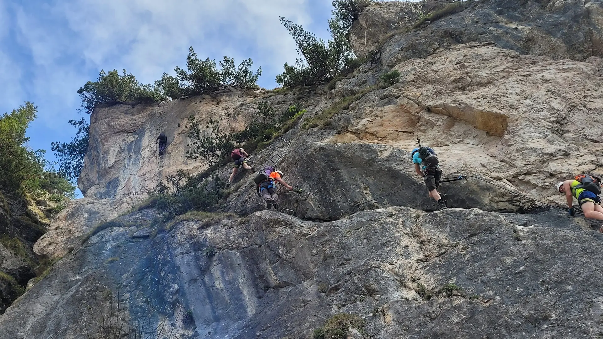 © Daniela Utzschmid, Roland Biro, Franz Huber, Norbert Wurstbauer, Sonja Schnellinger