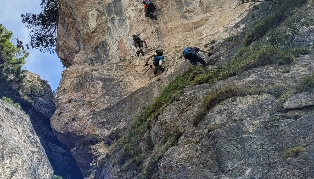 © Daniela Utzschmid, Roland Biro, Franz Huber, Norbert Wurstbauer, Sonja Schnellinger