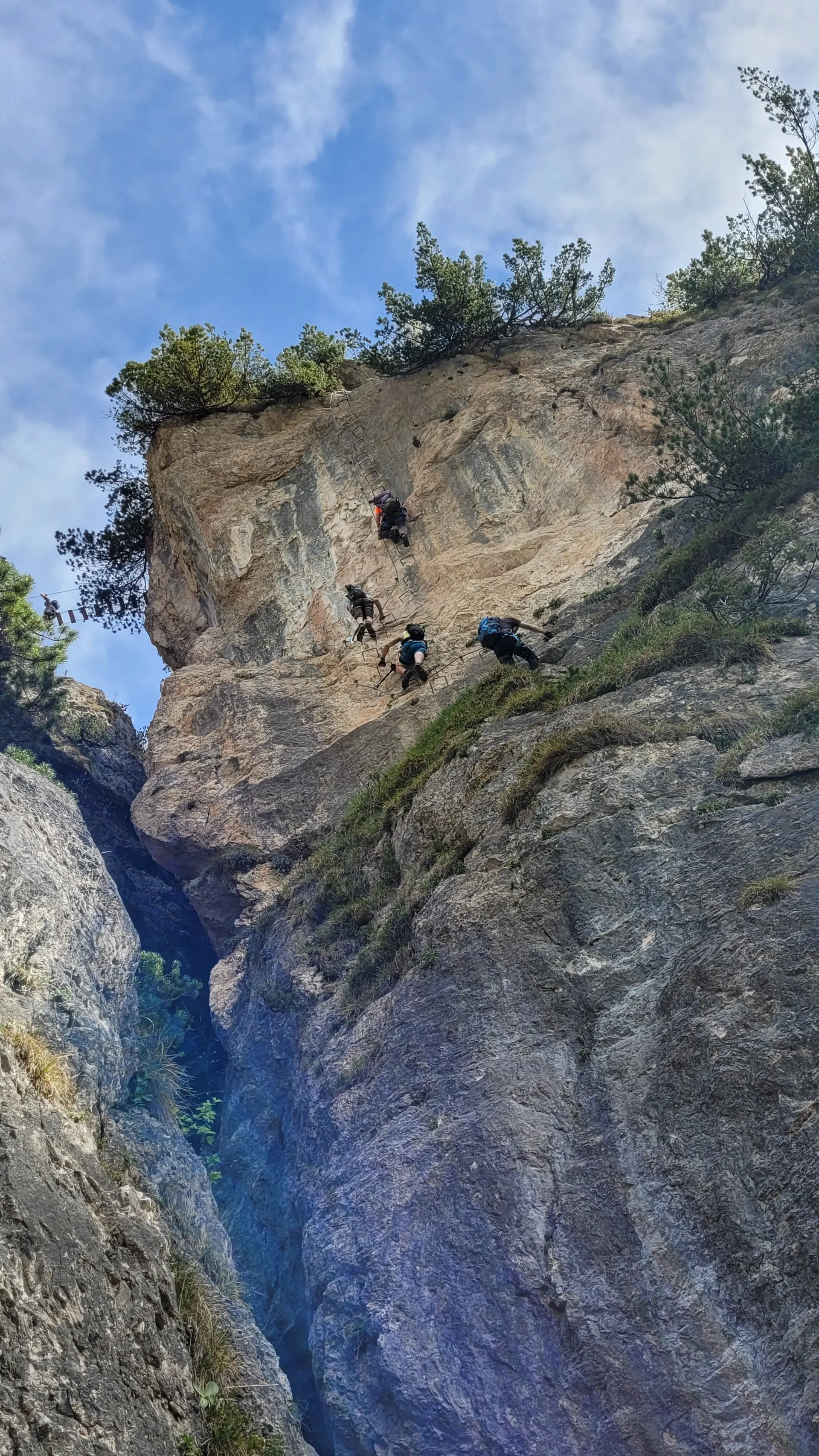 © Daniela Utzschmid, Roland Biro, Franz Huber, Norbert Wurstbauer, Sonja Schnellinger